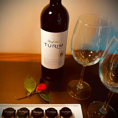 Turim Oporto